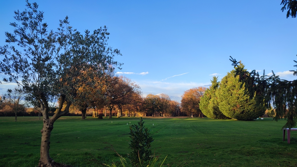 Résultats TROPHEE DU BEAUJOLAIS NOUVEAU